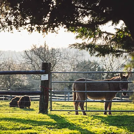 Domaine De Geffosse Hotel