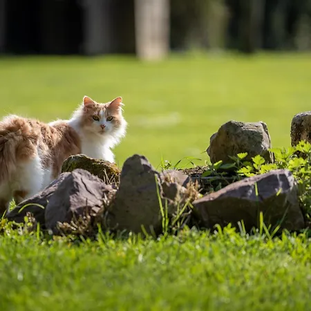 Domaine De Geffosse Hotel 2*