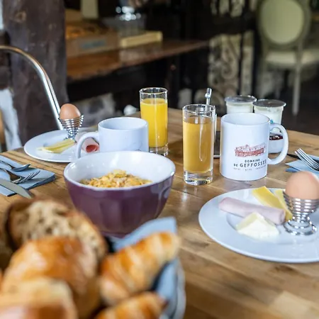 Domaine De Geffosse Hotel