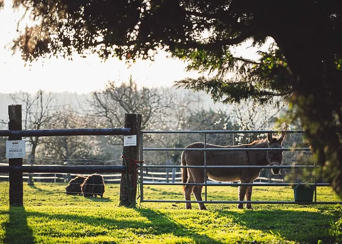 Domaine De Geffosse Otel