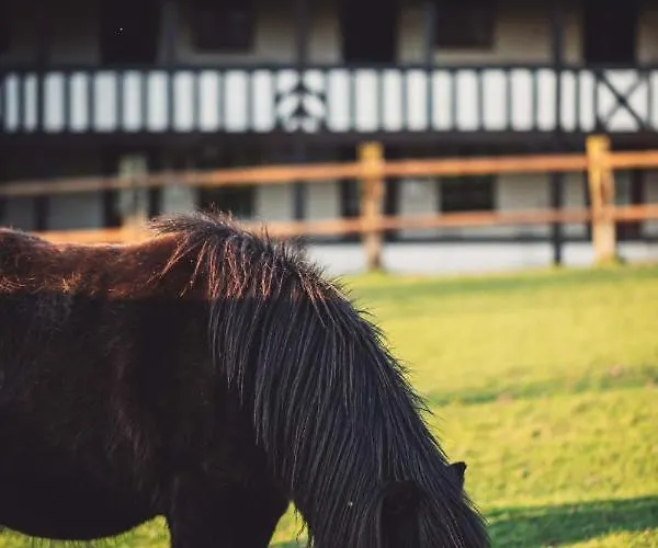Domaine De Geffosse Pont-Évêque