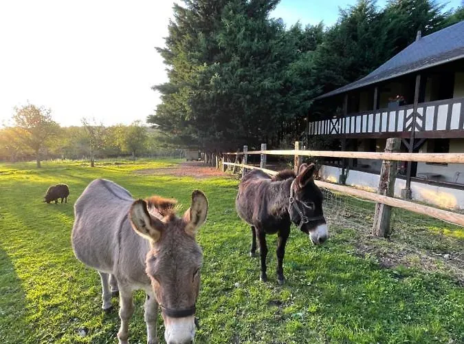 Domaine De Geffosse Hotel 2*