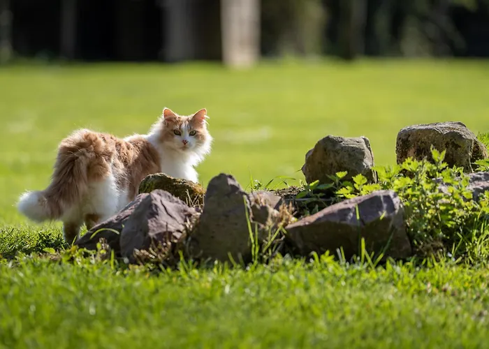 Domaine De Geffosse Hotel 2*